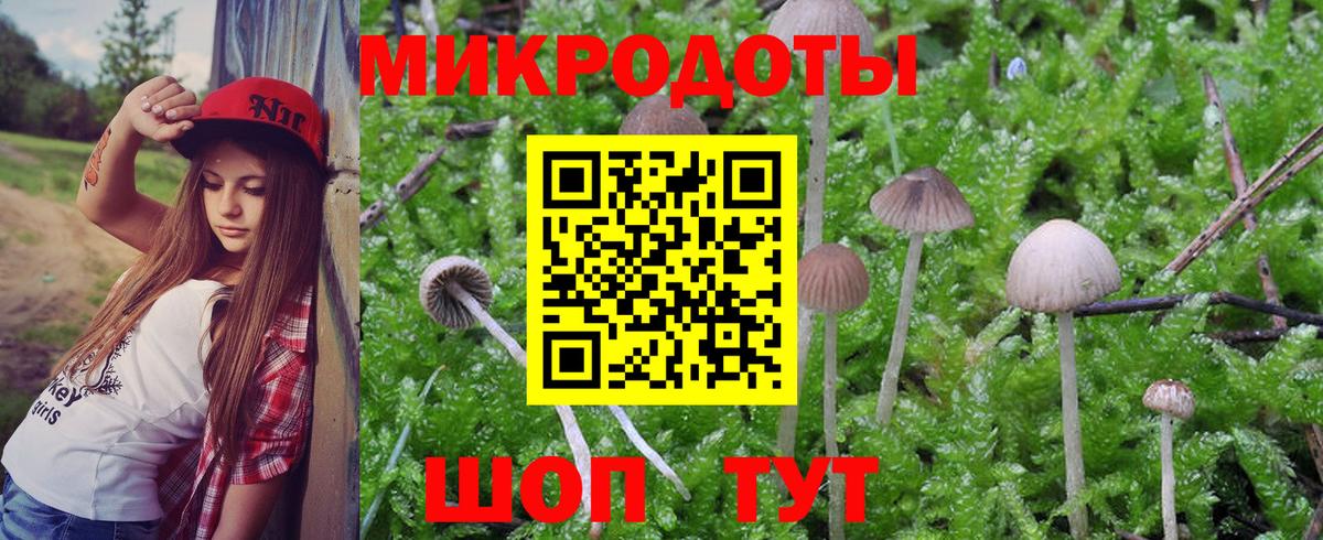 Галлюциногенные грибы MAGIC MUSHROOMS  Вход с VPN  Галлюциногенные грибы MAGIC MUSHROOMS  Омск 